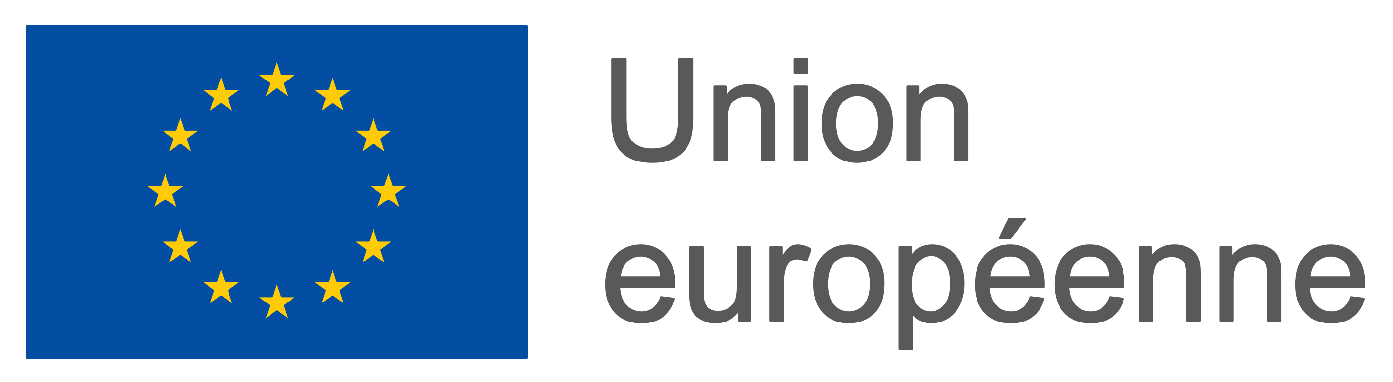 Logo Union Europeenne
